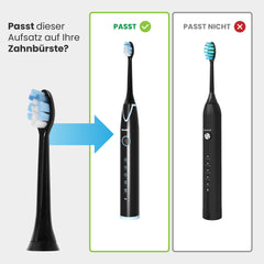 Denta-M Ersatz-Aufsteckbürsten 2 Stück (Erste Generation)